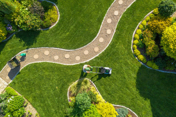 Aerial view of professional lawn maintenance with winding garden path